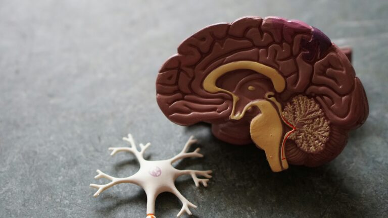 ¿Qué es una evaluación neuropsicológica?